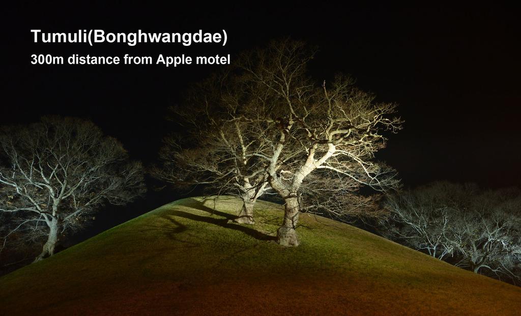 Мотель Apple House Кьонджу Екстер'єр фото